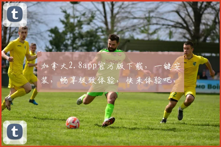 加拿大2.8app官方版下载，一键安装，畅享极致体验，快来体验吧，不容错过