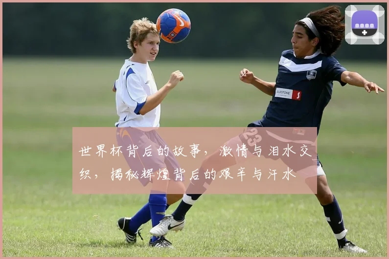 世界杯背后的故事，激情与泪水交织，揭秘辉煌背后的艰辛与汗水