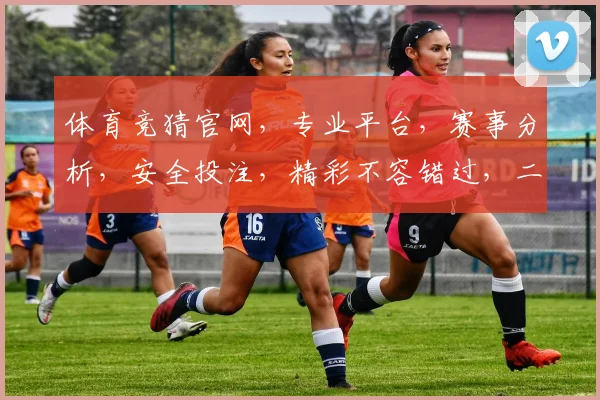 体育竞猜官网，专业平台，赛事分析，安全投注，精彩不容错过，二二一，快来体验
